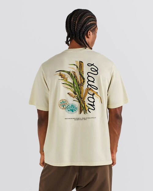 Bermuda Origin Tee Cream