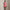 RLX 15-Inch Aim Stretch Skirt Red Sky