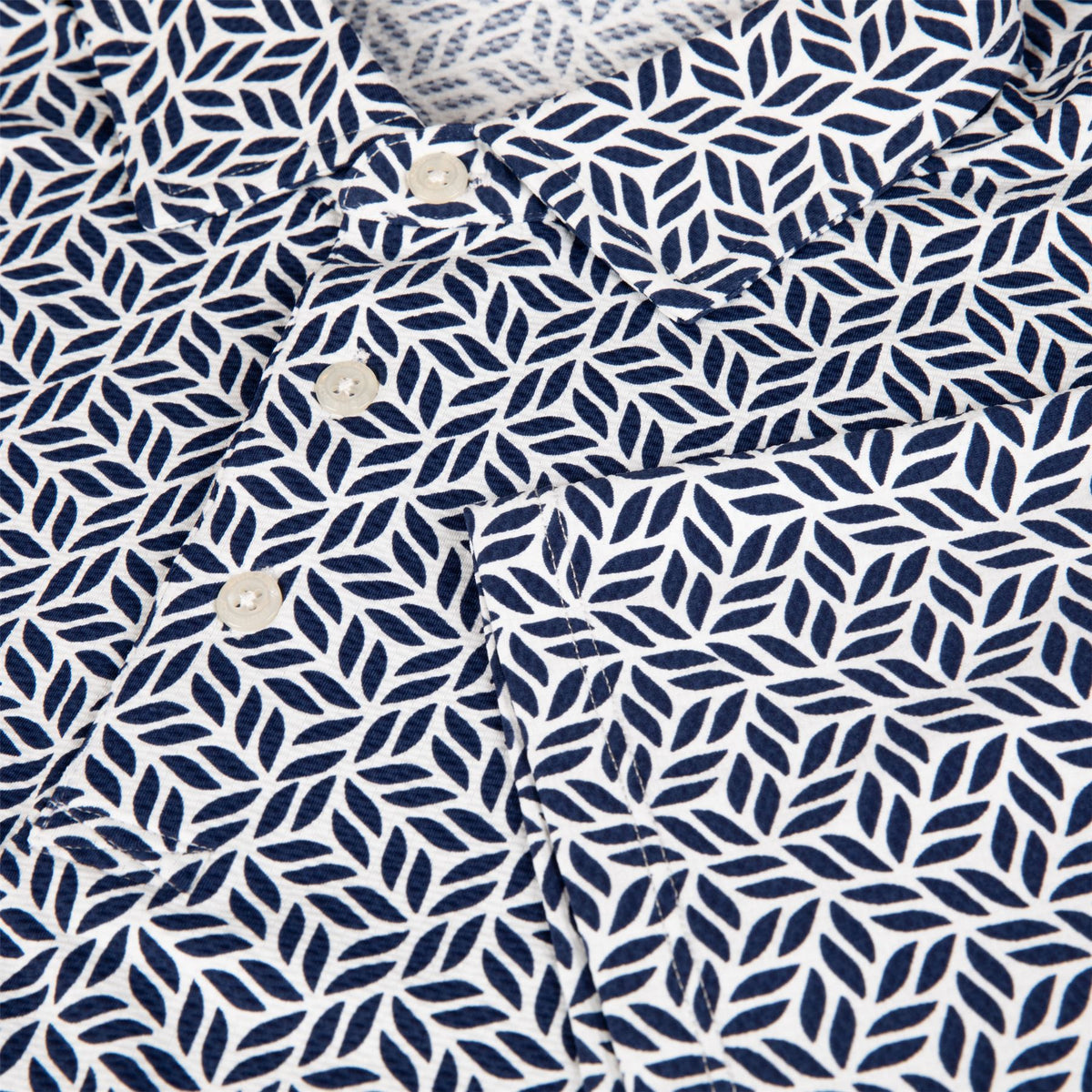 Cool Wesley Polo Regal