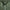 x TRENDYGOLF Metal Vent Tech Midweight Half Zip Dewy/Army Green