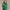 Regatta Quarter Zip Pritchard Green