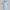 Tripe/G's Tech Jersey Polo Snow/Cenote