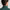 Merge Hybrid Fleece Jacket Noric Pine