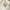 NeSmith Nylon Down Jacket White
