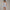 Womens Mirage Play Shorts Blue Dawn