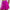 Legacy Skirt French Fuchsia