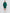 Gusta Tour Sweat Shorts Forest Biome