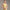 Womens Revive Longline Bra Yellow Dawn