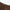 Numeric Nylon Cargo Shorts Brown
