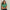 Albatross Polo Forest Green
