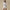 Womens Tulip Lounge Shorts Cream Debossed Crane