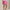 Womens RLX A-Line Stretch Skirt Regatta Pink