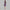 Womens Iris Silky Tech Nylon Skort Twilight