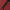 Millard Ventil8+ Polo Black/Red/White