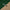 Canterbury Sweater Polo Shirt Green