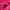 Womens Fabulous Elbow Polo Hot Pink