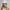 Embroidered Icon Snapback Cap Snow