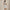 RLX SL Jenna Solid Dress Ceramic White