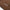 Numeric Nylon Cargo Shorts Brown