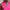 Womens RLX Tailored Fit SL Polo Bright Pink