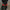 JAY3LLE Pants Black