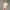 Womens DreamGlow Crewneck Sweatshirt Lemon Mist