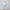 Womens Warm Up Jacket Powder Blue/White