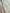 Neck Tie Blue Botanical