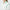 Womens Classic Crew Neck White/Sport Green