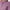 Womens Alpha Hoodie Very Grape