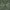 x TRENDYGOLF Metal Vent Tech Midweight Half Zip Dewy/Army Green