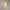 Womens Course to Court Quarter Zip Yellow Dawn