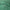 Albatross Polo Forest Green