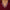 Lorde Soft TX Jersey Polo Cabernet