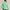 Performance Half Zip Cabana Green Heather