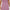 Womens Amelie Mid Skirt Very Grape