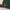 x Santa Cruz Rope Hat Malbon Green