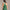 Womens Marina Dress Pritchard Green