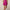 Phoenix Shortie Skirt Lychee