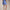 RLX Lightweight Airflow Skirt Resort Blue