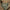 Canterbury Sweater Polo Shirt Green