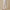 Womens Tulip Lounge Pants Cream Debossed Crane