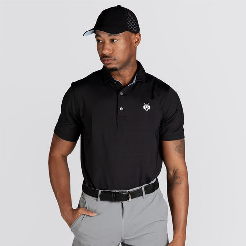 Cayuse Polo Shepherd