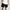 Stasher Shorts Black