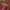 Adrian Chevron Swim Trunks Neon Pink
