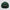 Clueless Strap Back Hat Forest