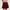 Womens Valentina Pleated Skirt Vino