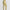 Womens Reviveform 7/8 Legging Yellow Dawn