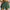 Legacy Skirt Pritchard Green