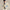 Shawl Cardigan Andover Cream Combo